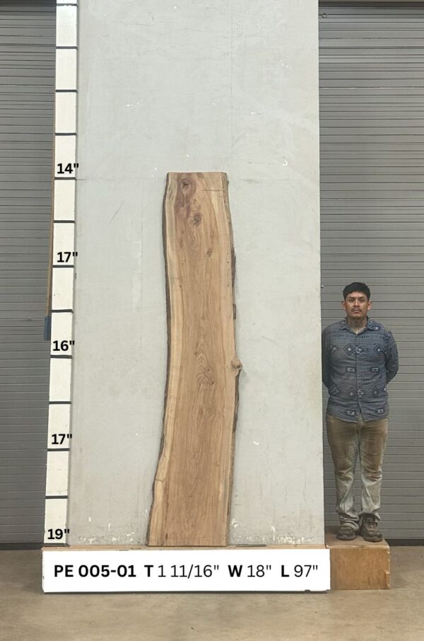 live-edge-pecan-wood-slab-back-pe-005-01-1.jpg Live Edge Pecan Slab PE 005-01