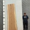 live-edge-pecan-wood-slab-back-pe-009-01-1.jpg Live Edge Pecan Slab PE 009-01