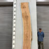 live-edge-pecan-wood-slab-back-pe-014-03.jpg Live Edge Pecan Slab PE 014-03