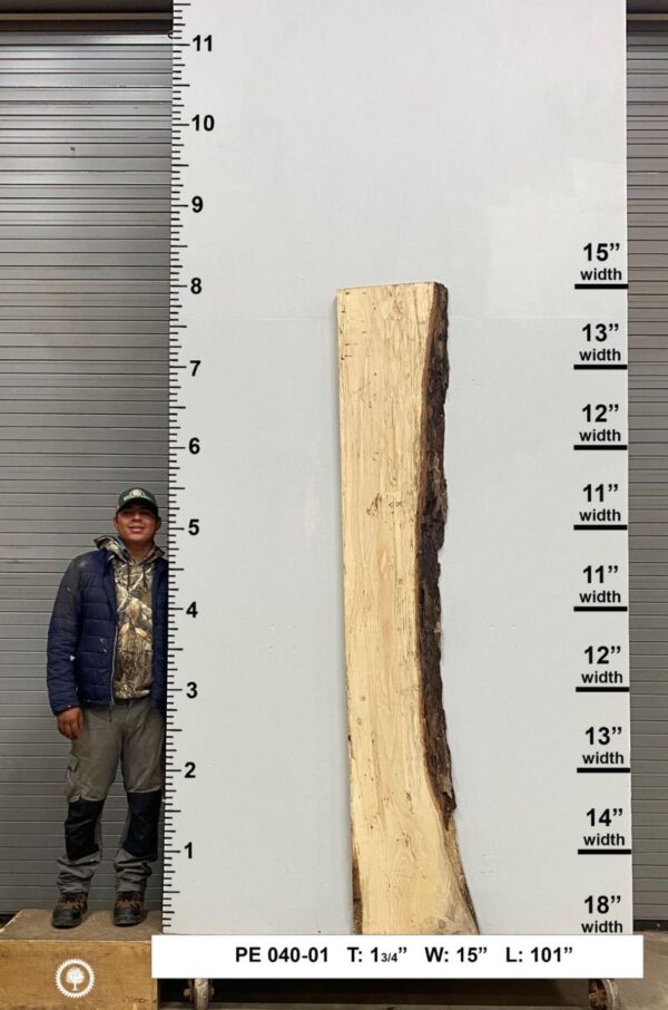 live-edge-pecan-wood-slab-back-pe-040-01.jpg Live Edge Pecan Slab PE 040-01