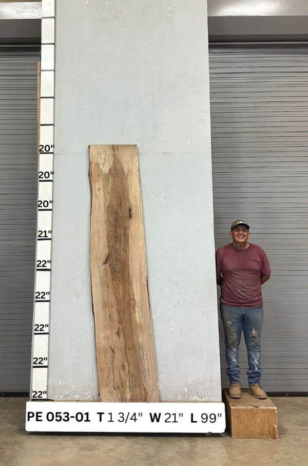 live-edge-pecan-wood-slab-back-pe-053-01.jpg Live Edge Pecan Slab PE 053-01