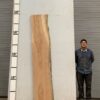 live-edge-pecan-wood-slab-back-pe-082-01.jpg Live Edge Pecan Slab PE 082-01