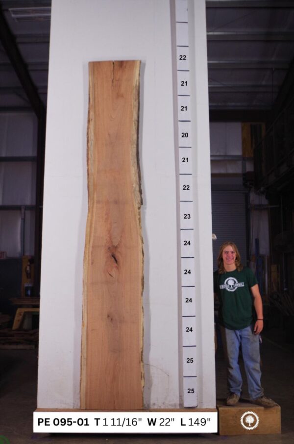 live-edge-pecan-wood-slab-back-pe-095-01.jpg Live Edge Pecan Slab PE 095-01