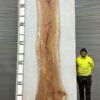 live-edge-pecan-wood-slab-back-pe-139-05.jpg Live Edge Pecan Slab PE 139-05