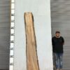 live-edge-pecan-wood-slab-back-pe-150-01.jpg Live Edge Pecan Slab PE 150-01