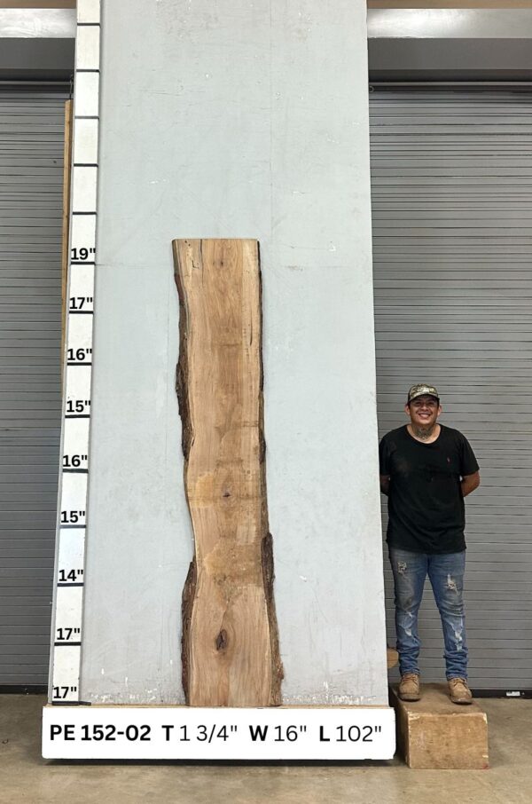 live-edge-pecan-wood-slab-back-pe-152-02.jpg Live Edge Pecan Slab PE 152-02