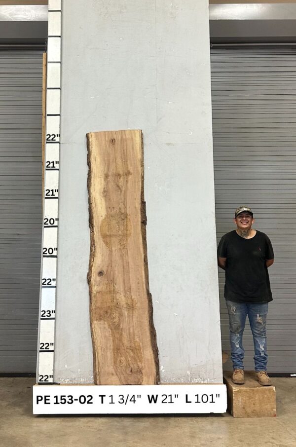 live-edge-pecan-wood-slab-back-pe-153-02.jpg Live Edge Pecan Slab PE 153-02