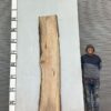 live-edge-pecan-wood-slab-back-pe-155-04.jpg Live Edge Pecan Slab PE 155-04