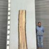 live-edge-pecan-wood-slab-back-pe-156-01.jpg Live Edge Pecan Slab PE 156-01