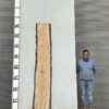 live-edge-pecan-wood-slab-back-pe-156-02.jpg Live Edge Pecan Slab PE 156-02