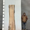live-edge-pecan-wood-slab-back-pe-164-02.jpg Live Edge Pecan Slab PE 164-02