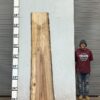 live-edge-pecan-wood-slab-back-pe-166-06.jpg Live Edge Pecan Slab PE 166-06