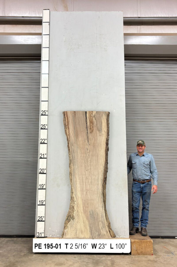 Slabs pt. 2 - 94 Live Edge Pecan Slab PE 195-01