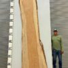 live-edge-pecan-wood-slab-back-pe-200-01-1.jpg Live Edge Pecan Slab PE 200-01