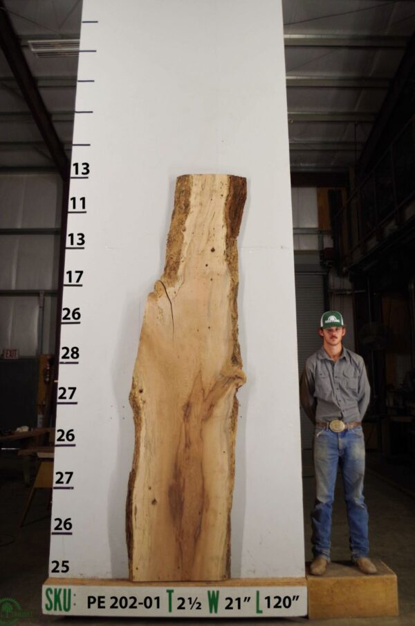 live-edge-pecan-wood-slab-back-pe-202-01.jpg Live Edge Pecan Slab PE 202-01