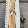 live-edge-pecan-wood-slab-back-pe-203-01.jpg Live Edge Pecan Slab PE 203-01