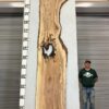 live-edge-pecan-wood-slab-back-pe-203-02.jpg Live Edge Pecan Slab PE 203-02