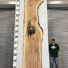 live-edge-pecan-wood-slab-back-pe-203-03.jpg Live Edge Pecan Slab PE 203-03