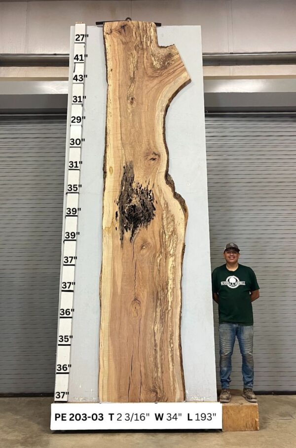 live-edge-pecan-wood-slab-back-pe-203-03.jpg Live Edge Pecan Slab PE 203-03