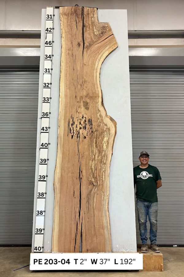 live-edge-pecan-wood-slab-back-pe-203-04.jpg Live Edge Pecan Slab PE 203-04