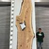 live-edge-pecan-wood-slab-back-pe-203-08-2.jpg Live Edge Pecan Slab PE 203-08