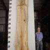 live-edge-pecan-wood-slab-back-pe-225-01.jpg Live Edge Pecan Slab PE 225-01