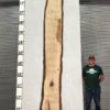 live-edge-pecan-wood-slab-back-pe-227-01.jpg Live Edge Pecan Slab PE 227-01