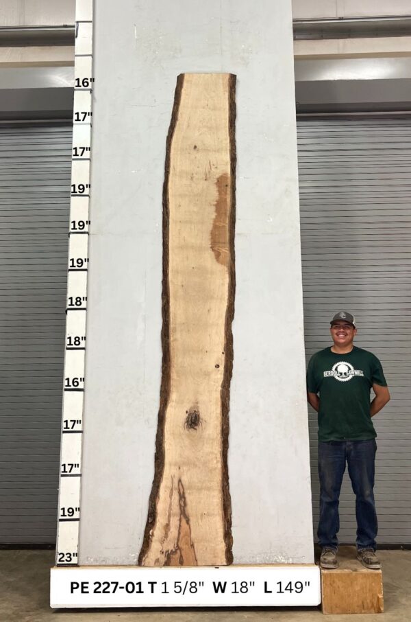 live-edge-pecan-wood-slab-back-pe-227-01.jpg Live Edge Pecan Slab PE 227-01