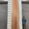 live-edge-pecan-wood-slab-back-pe-228-04-1.jpg Live Edge Pecan Slab PE 228-04