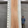 live-edge-pecan-wood-slab-back-pe-228-07.jpg Live Edge Pecan Slab PE 228-07