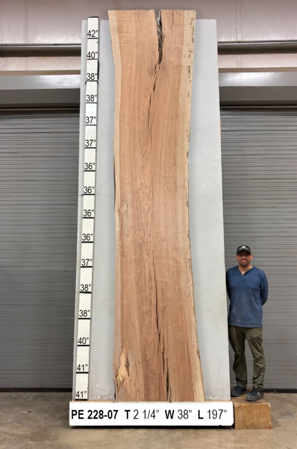 live-edge-pecan-wood-slab-back-pe-228-07.jpg Live Edge Pecan Slab PE 228-07
