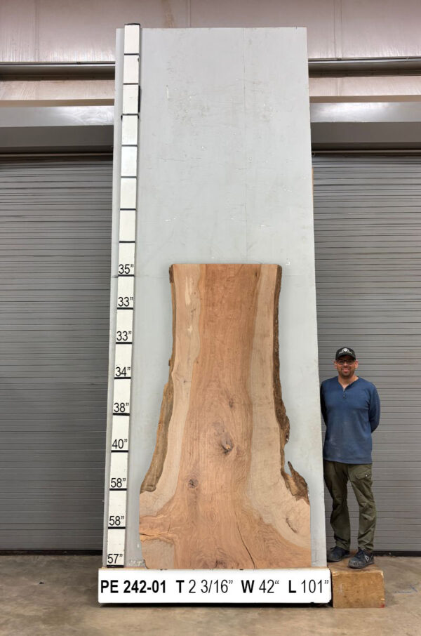 live-edge-pecan-wood-slab-back-pe-242-01.jpg Live Edge Pecan Slab PE 242-01