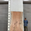live-edge-pecan-wood-slab-back-pe-242-04.jpg Live Edge Pecan Slab PE 242-04
