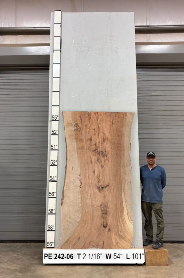 live-edge-pecan-wood-slab-back-pe-242-06.jpg Live Edge Pecan Slab PE 242-06