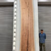 live-edge-pecan-wood-slab-back-pe-288-06.jpg Live Edge Pecan Slab PE 228-06