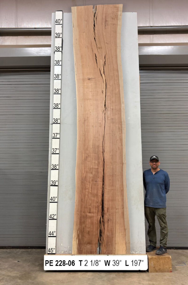 live-edge-pecan-wood-slab-back-pe-288-06.jpg Live Edge Pecan Slab PE 228-06