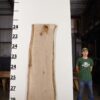 live-edge-pecan-wood-slab-back-pe-300-04.jpg Live Edge Pecan Slab PE 300-04
