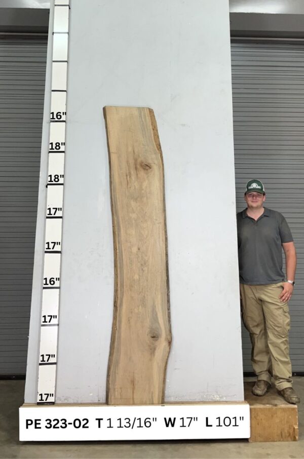 live-edge-pecan-wood-slab-back-pe-323-02.jpg Live Edge Pecan Slab PE 323-02