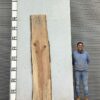 live-edge-pecan-wood-slab-back-pe-335-01.jpg Live Edge Pecan Slab PE 335-01