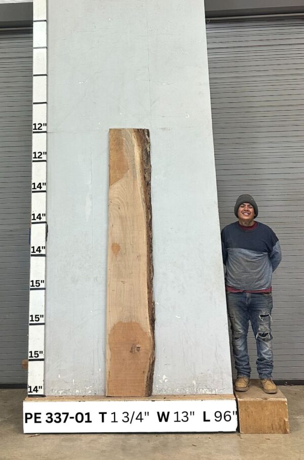 live-edge-pecan-wood-slab-back-pe-337-01.jpg Live Edge Pecan Slab PE 337-01