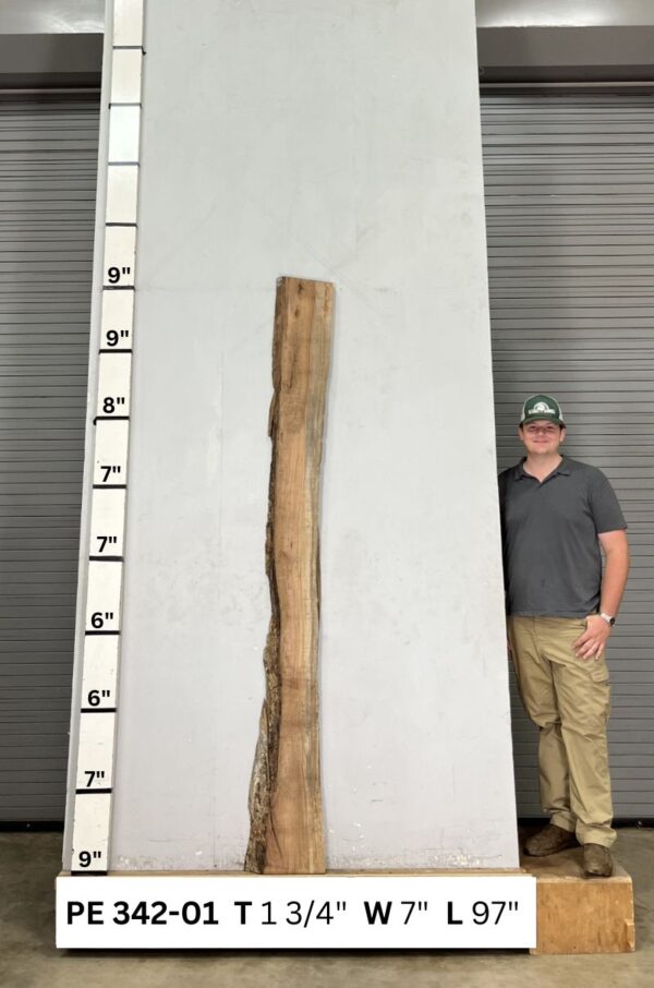 live-edge-pecan-wood-slab-back-pe-342-01.jpg Live Edge Pecan Slab PE 342-01