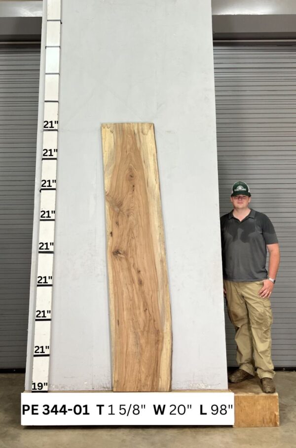 live-edge-pecan-wood-slab-back-pe-344-01.jpg Live Edge Pecan Slab PE 344-01