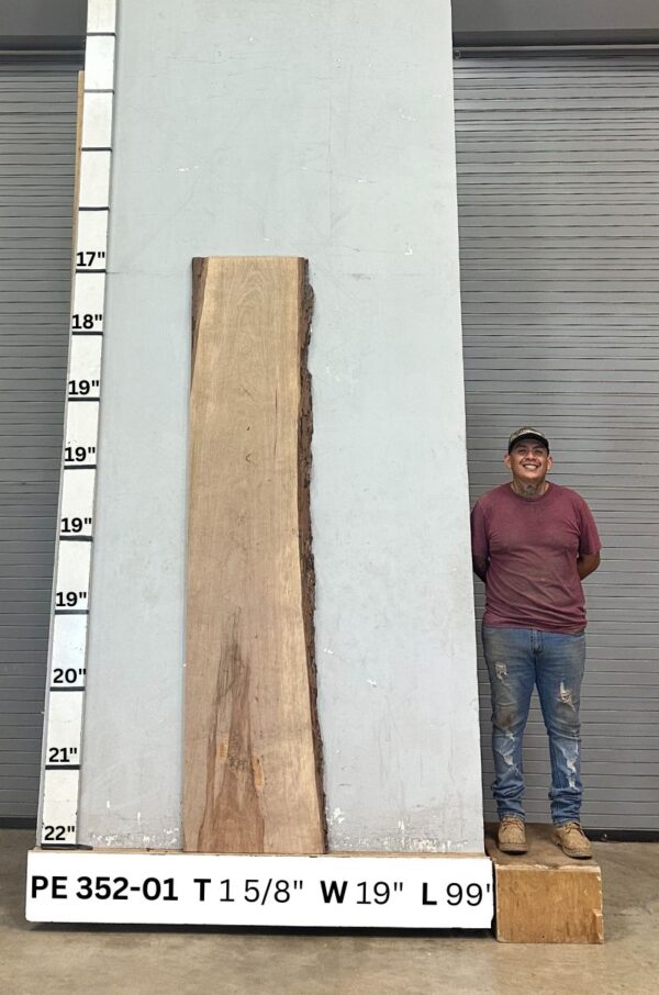 live-edge-pecan-wood-slab-back-pe-352-01.jpg Live Edge Pecan Slab PE 352-01
