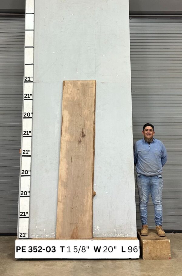live-edge-pecan-wood-slab-back-pe-352-03.jpg Live Edge Pecan Slab PE 352-03