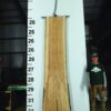 live-edge-pecan-wood-slab-back-pe-395-01.jpg Live Edge Pecan Slab PE 395-01