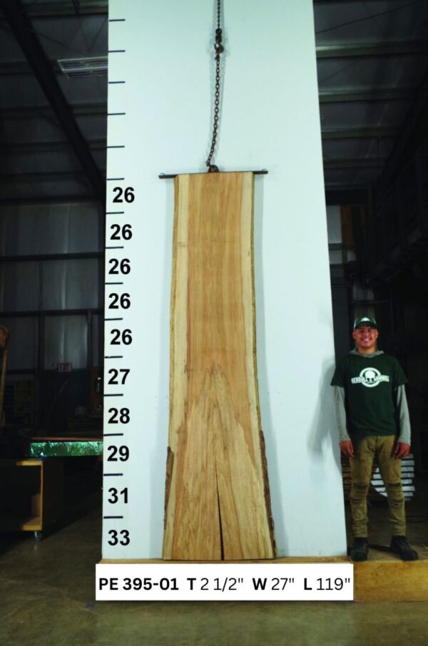 live-edge-pecan-wood-slab-back-pe-395-01.jpg Live Edge Pecan Slab PE 395-01