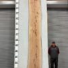 live-edge-pecan-wood-slab-back-pe-404-03.jpg Live Edge Pecan Slab PE 404-03