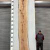 live-edge-pecan-wood-slab-back-pe-404-04.jpg Live Edge Pecan Slab PE 404-04
