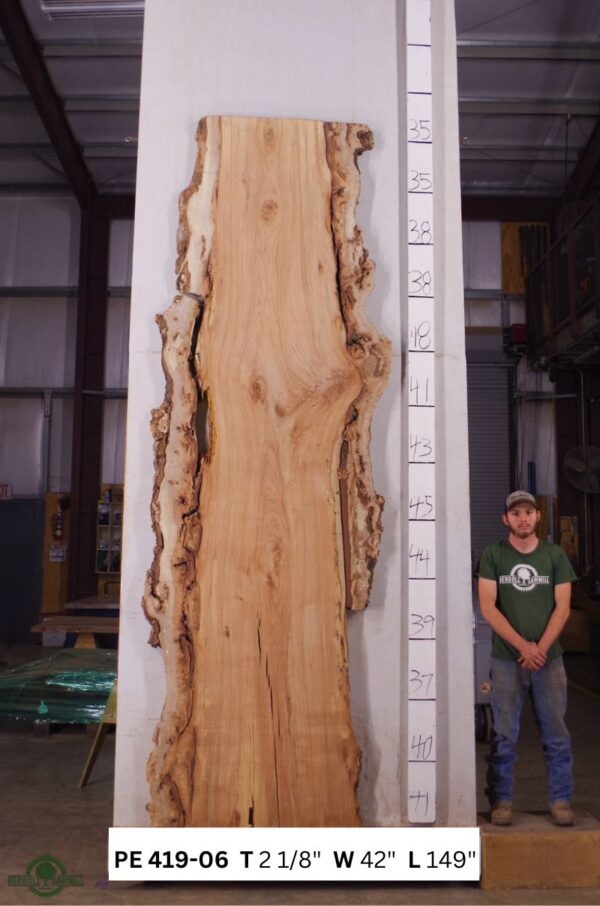 live-edge-pecan-wood-slab-back-pe-419-06.jpg Live Edge Pecan Slab PE 419-06