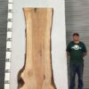 live-edge-pecan-wood-slab-back-pe-487-07.jpg Live Edge Pecan Slab PE 487-07